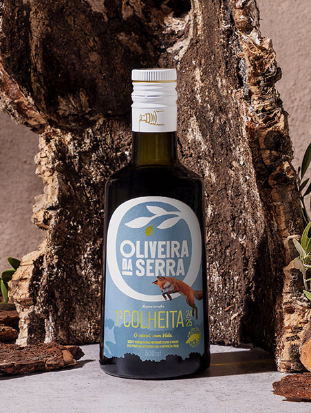 PRIMEIRA COLHEITA