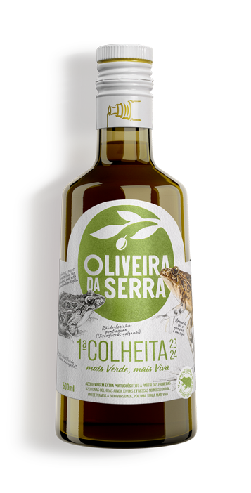 1ª COLHEITA 23-24