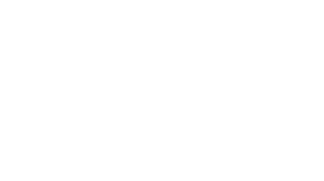 Oliveirinha Bluey